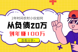 2年，农村小伙如何从负债20万到年入100万