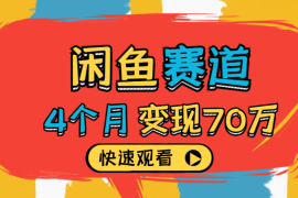 闲鱼小赛道四个月变现利润70万技巧分享【图文】